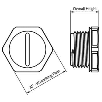 Line Drawing