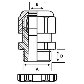 Line Drawing