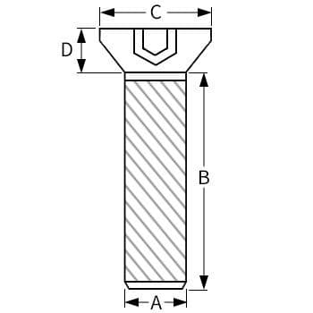 Line Drawing