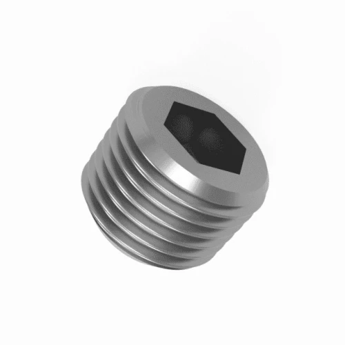 Stainless Steel Socket Pipe Plugs DIN 906