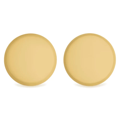 Flange Cover Caps
