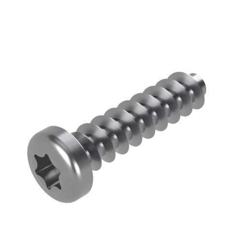 Torx Pan PT45 Screws for Hard Plastics