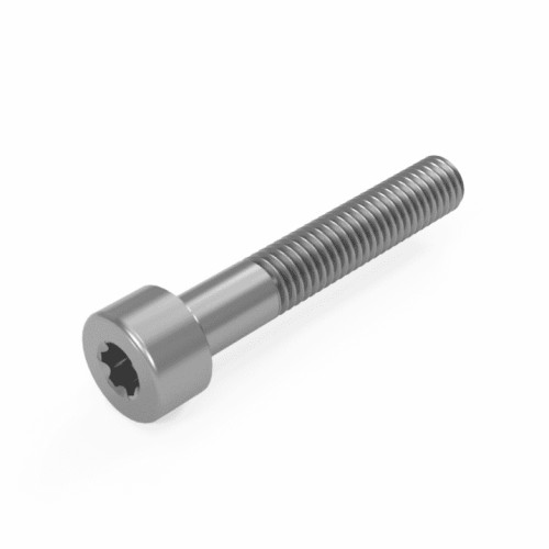 Torx Socket Cap Screw ISO 14579