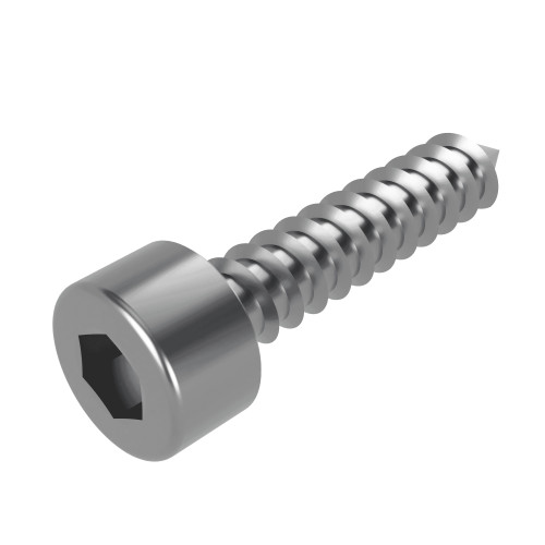 Self Tapping Hex Socket Cap Head Screws
