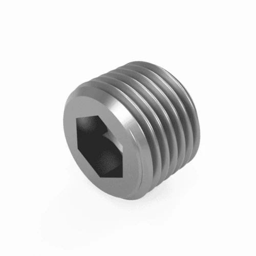 Pipe Plugs