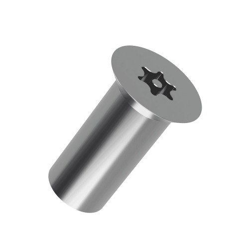 Pin Torx Countersunk Barrel Nuts