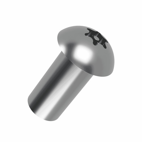 Pin Torx Button Head Barrel Nuts